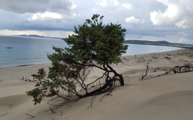 Ikebana Villas Porto Pino Beach