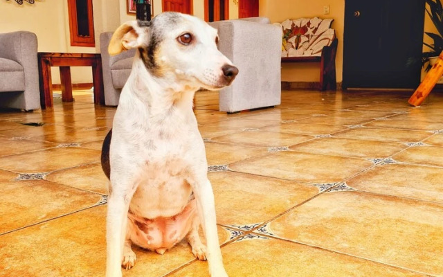 Hotel Barrio Antiguo