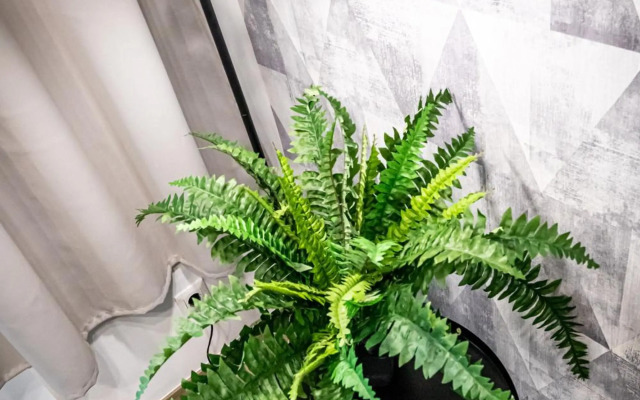 ZEUS Design Apartments