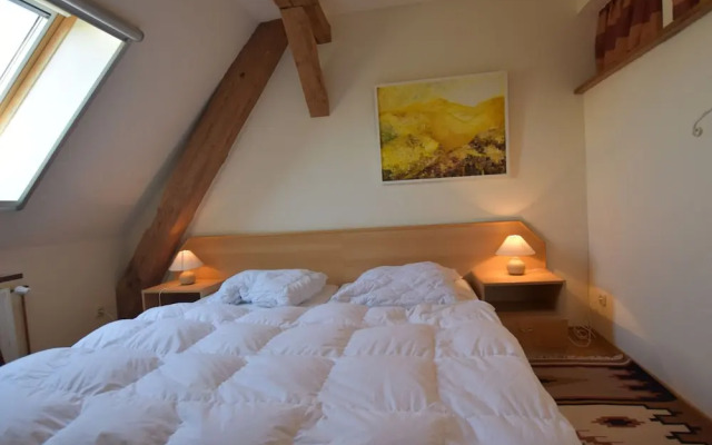 Rustic-style Apartment in Buschenhagen With Garden