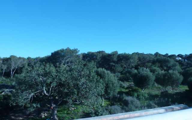 Apartamentos Villa Primera