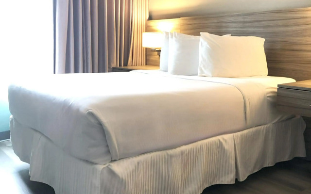 Porto Vista Hotel Downtown