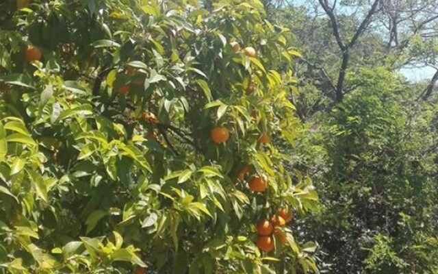 San Giovanni Rooms Roma