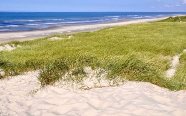 "Kenai" - 700m from the sea in Western Jutland