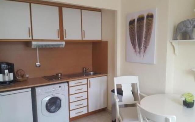 Appartements Centre Ville Massena avec vue