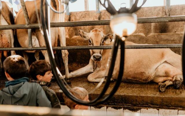 Oakhurst Farm Cottages