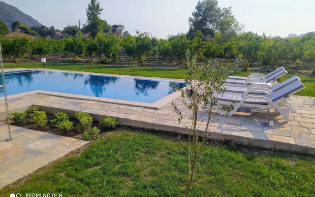 Villa in a Pomagranate Orchard