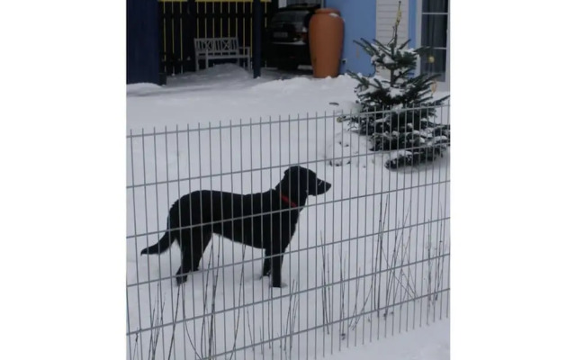 Pleasant Holiday Home Near Town Center