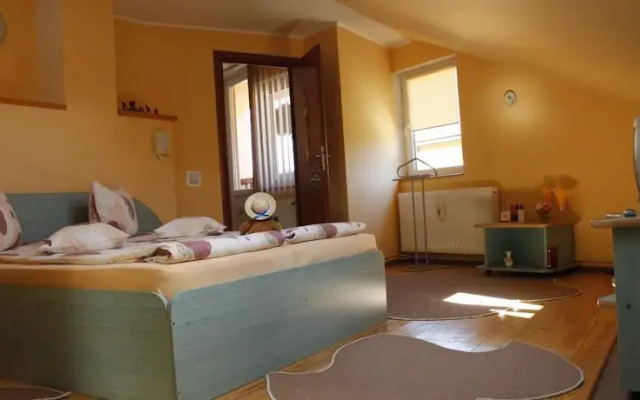 Pensiunea Domar - Alina