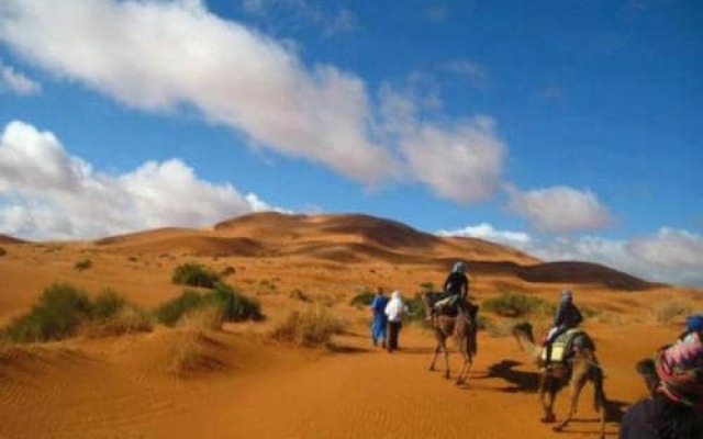 Barak Desert Camp