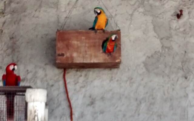 Resort Mision del Mar