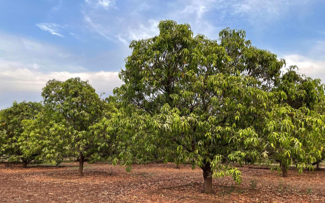 The Postcard Gir Wildlife Sanctuary
