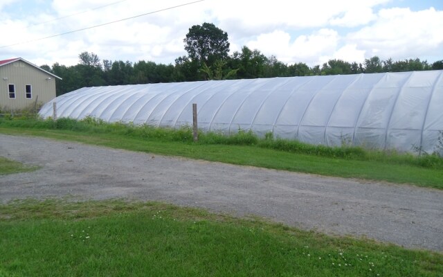 Safehaven Bed and Breakfast