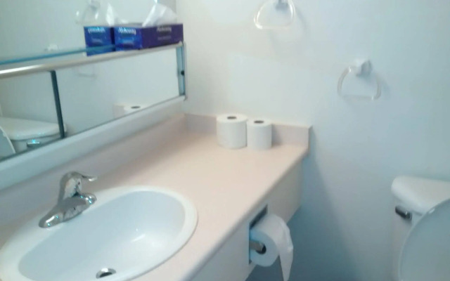 Toronto Furnished Living - Gerard St. E