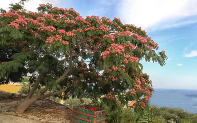 Pyrgos Ikaria Traditional Village