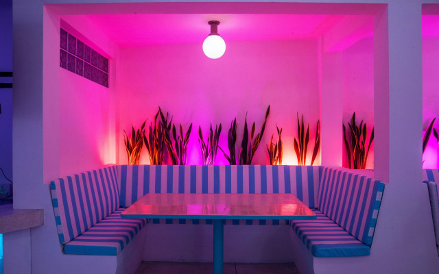 Mad Monkey Kuta Lombok - Hostel