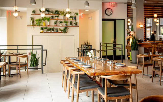 Arlo SoHo