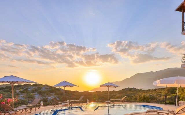 Hill House Adult Only +14