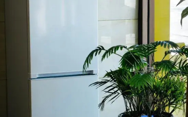 Chaka Yanhu Xingruhai Hotel