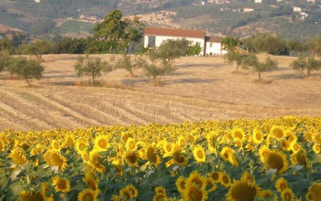 Casa in Collina