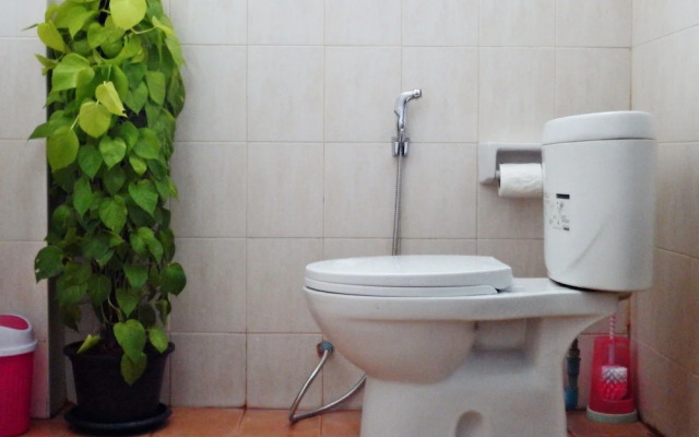 White Rabbit - Hostel
