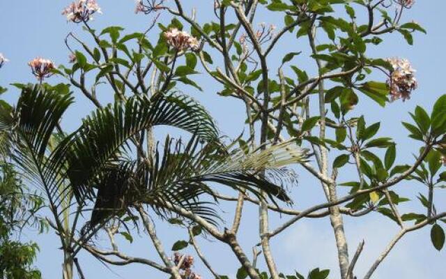 Alleppey Beach Garden