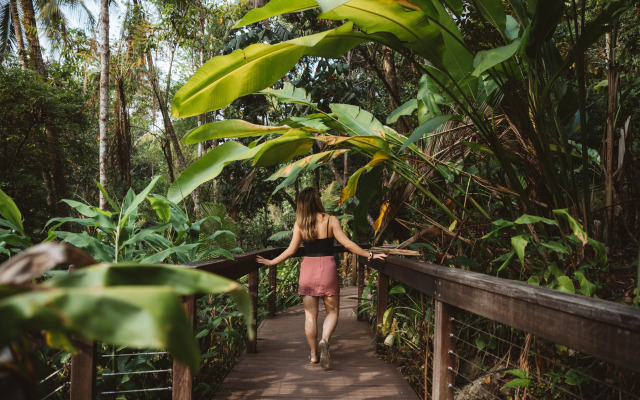 Daintree Ecolodge