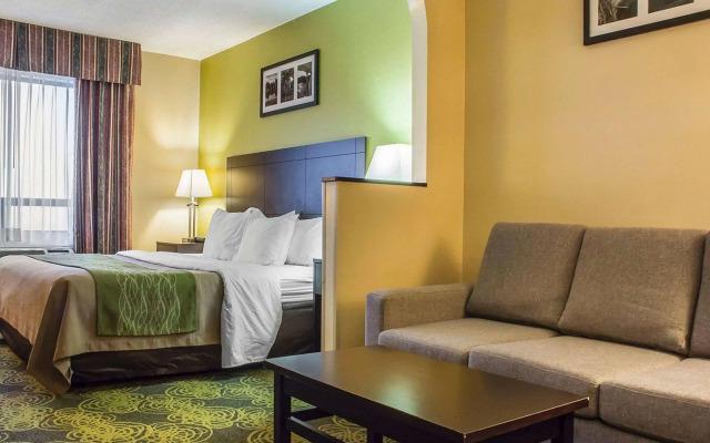 Comfort Hotel & Suites