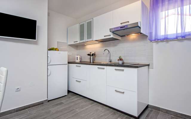 Apartment and Studio Tereza