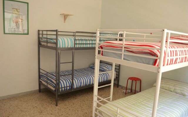 Olive Tree - Hostel