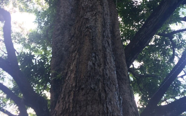 SweetSpotStay-Enchanted Grotto