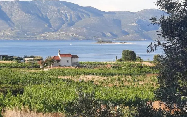 The White House Lumbarda