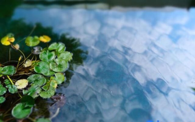 Po return. Slow talk