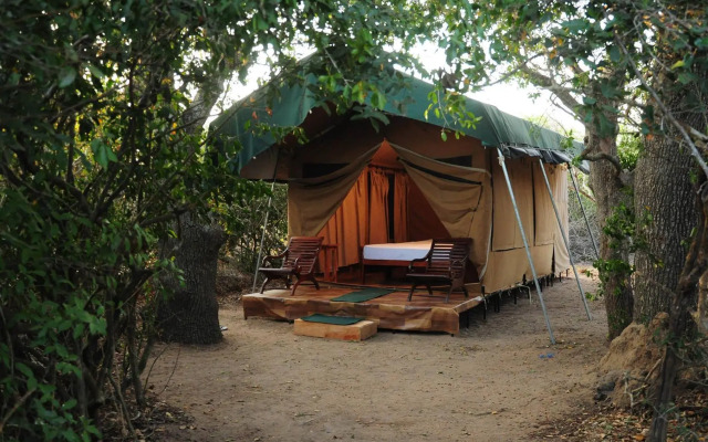 Yala Bear Safari Camp Tents