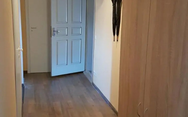 Apartment 9 floor