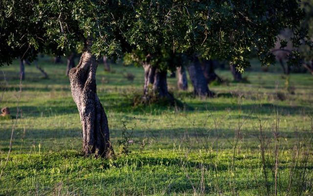 Petit Hotel Hostatgeria Sant Salvador