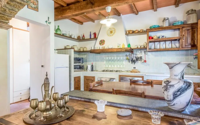 Laia Seravezza in Seravezza