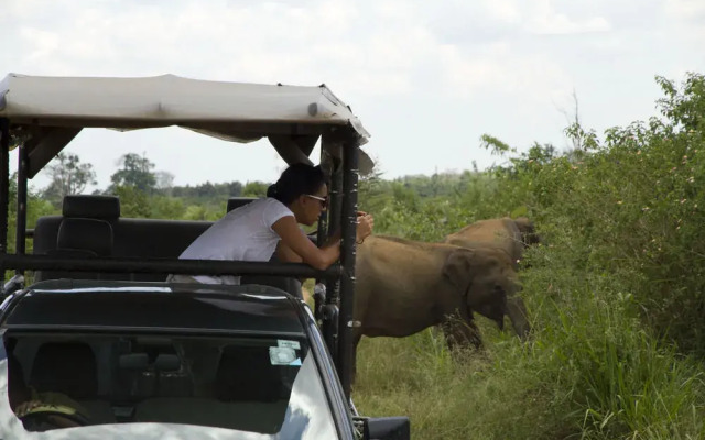 Ruhunu Safari Camping - Udawalawe
