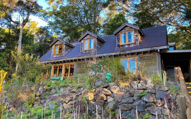 Binna Burra Rainforest Campsite