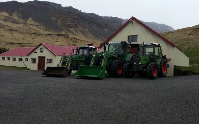 Ásólfsskáli Cottage
