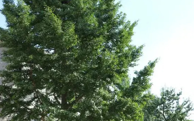 Qingliang Residential Accommodation