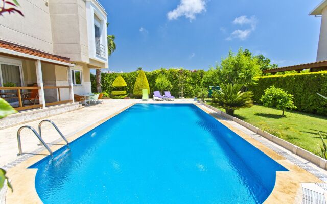 Paradise Town Villa ART