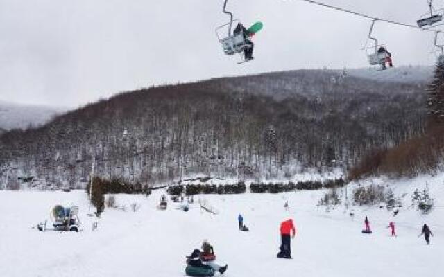 Snow Park Stozer Vrana