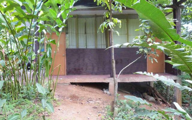 Tarantula Hostel