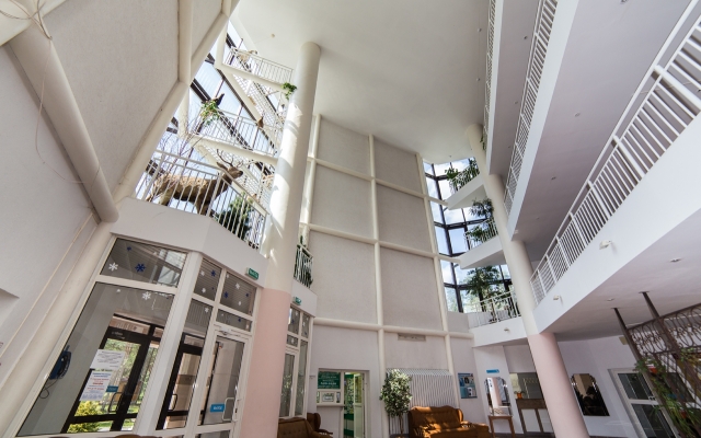 Borovoe (Vitebskaja oblast')