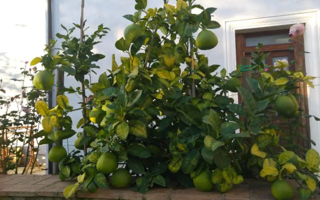 Borgo Patierno Agristor Country House