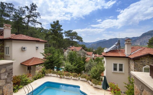 Göcek Vineyard Villas