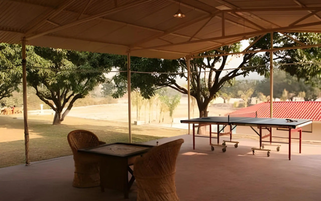 Tiger Camp
