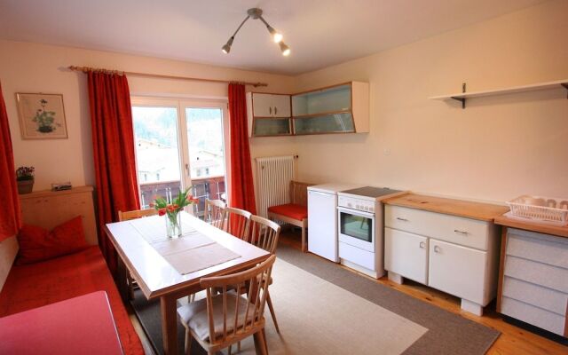 Lovely Pet-friendly Apartment in Hopfgarten