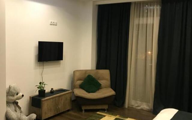 Elegant residence near old Tbilisi